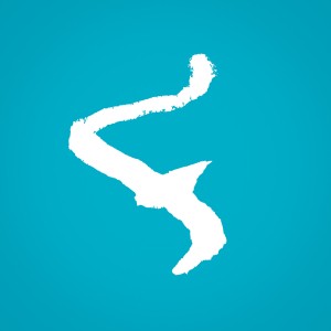 flowtrack logo.jpg