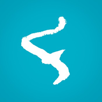 flowtrack logo.jpg